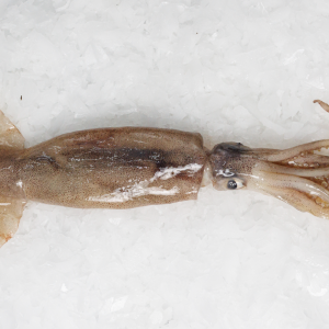 Calamar Premium (kg.)