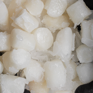 Cayos de vieiras (100 g)