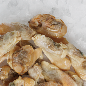 Almejas Nacionales media valva (100 g)