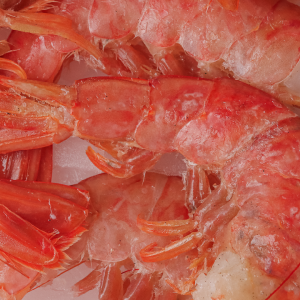 Langostinos enteros Premium crudos L1 (100 g)