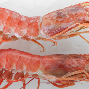 Camarón Chileno ( 100gr)