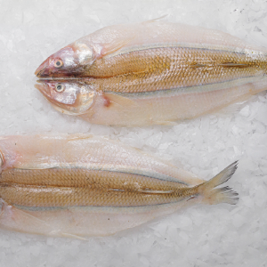 Pejerrey ( sin cabeza y sin cola)