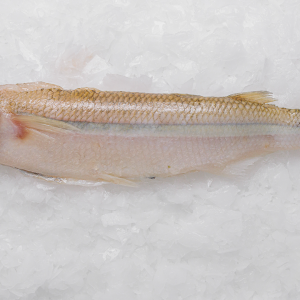 Pejerrey gran parana (kg.)