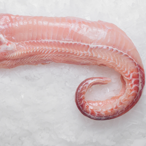 Pollo de Mar fresco (kg.)