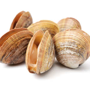 Almejas Taquillas (100 g)