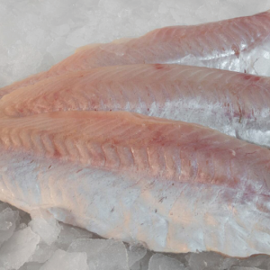 Brotola envasada al vacio(kg.)