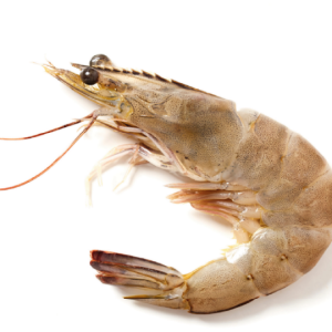 Camarón entero crudo (  100grs )