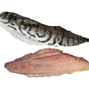 Filet de surubi (kg.)