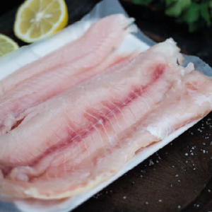 Filet de tarucha (kg.)